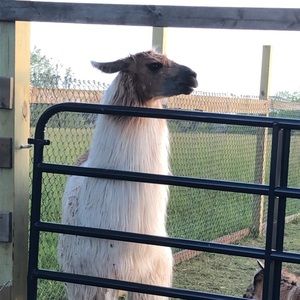 Meet your Posher, Tori